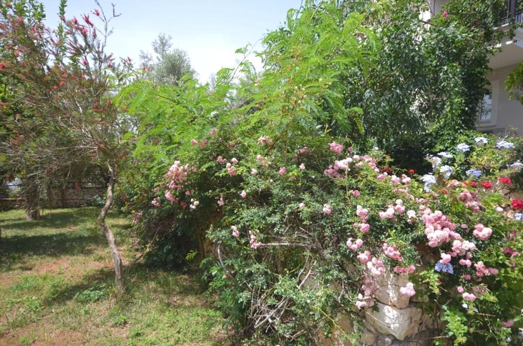 Villa Leton Kleo - Kalkan Center Luaran gambar